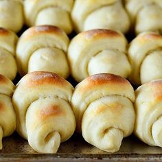 rolls on a baking sheet ready to be baked in the oven for dinner or dessert