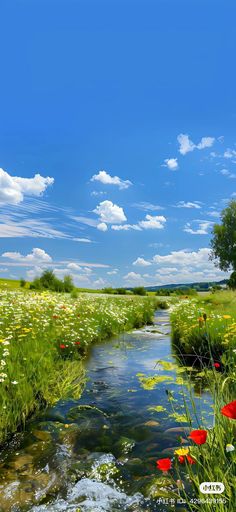 a river running through a lush green field filled with lots of wildflowers under a blue sky