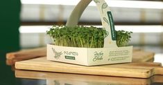 a planter that is sitting on top of a wooden tray with some plants in it