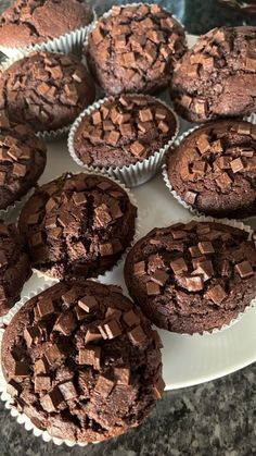 chocolate muffins on a white plate sitting on a table