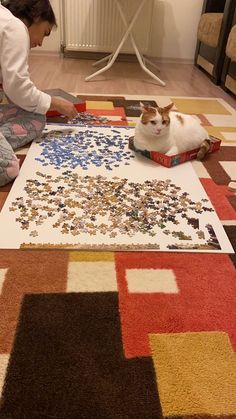 a cat sitting on the floor next to a puzzle