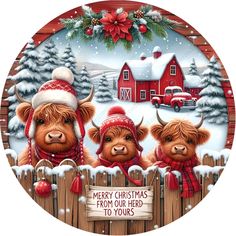 three brown cows wearing red hats and scarfs standing in front of a fence with a sign that says merry christmas from our herd to yours