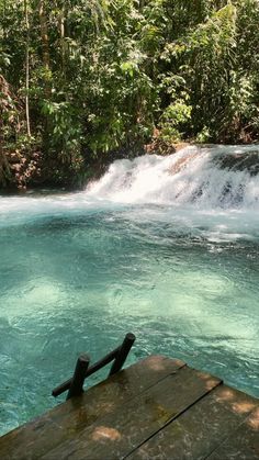 the water is crystal blue and there are trees in the background