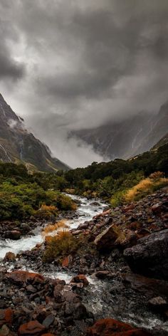 a river running through a lush green forest under a cloudy sky with mountains in the background