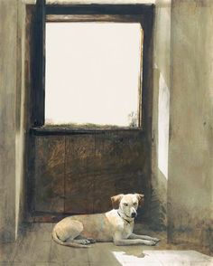 a painting of a dog laying on the ground in front of a window with sunlight coming through it