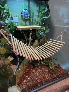 a musical instrument sitting on top of a wooden stand in front of plants and rocks