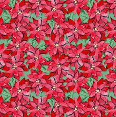 red poinsettia flowers with green leaves and buds on a green background fabric