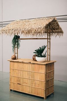 there is a plant on top of a bamboo bar with a straw roof over it