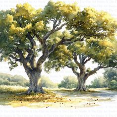 watercolor painting of two trees by the river