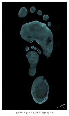 an animal's footprints and foot prints in the dark, with water droplets on them