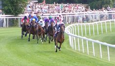 jockeys on horses racing down the track in front of a large group of spectators