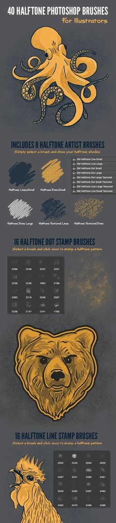 an info sheet showing the different types of aircrafts and their engines, including one that is