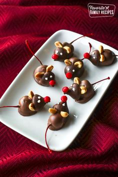 chocolate mice are arranged on a white plate