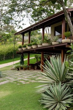 an image of a house with plants on the roof