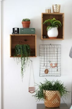 two wooden boxes with plants in them hanging on the wall next to a shelf filled with potted plants