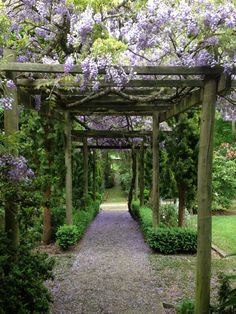 an arbor with purple flowers on it in the middle of a path through some trees