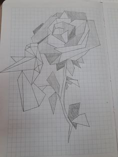 a pencil drawing of a flower on top of a piece of paper with graph paper