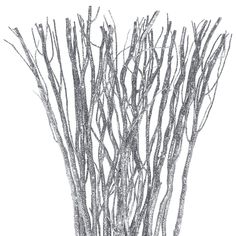 an ink drawing of some branches on a white background