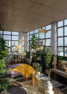 a living room filled with lots of windows and furniture next to plants on the floor