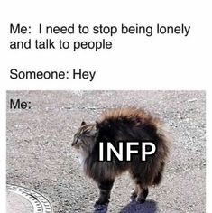 Infp Funny Humor, Infp 9w1 Aesthetic, Infp Characters Fictional, Infp Core Aesthetic, Daydreaming Aesthetic, Infp Facts