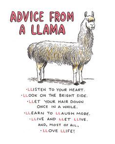 a llama with the words advice from a llama