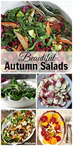 beautiful autumn salads with oranges, green beans and other vegetables