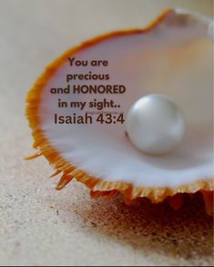 an orange shell with a pearl in it and the words you are precious and honored in my sight