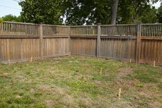 a fenced in yard with trees and grass on the ground, next to a tree