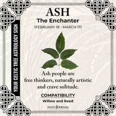 a poster with an image of a plant and the words ash in black on it