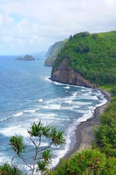 an ocean view from the top of a hill with trees and bushes on either side