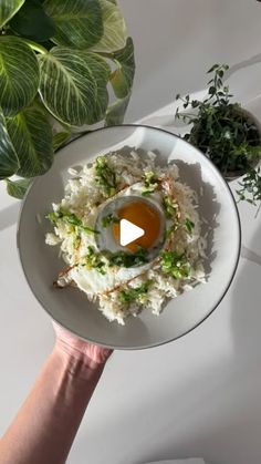 Maxine Sharf on Instagram: "Seared scallion oil with eggs & buttered rice✨

Seared Scallion Oil:▪️3 Scallions, sliced very thin (2 oz)▪️2 Tbsp Minced Fresh Ginger▪️1/4 tsp Kosher Salt, plus more to taste▪️1/4 Cup Peanut Oil▪️2 tsp Sesame Oil▪️

Rice + Eggs:▪️2 Cups Cooked Jasmine Rice▪️1-2 Tbsp Butter, cut into small pieces▪️1 Tbsp Oil (any kind)▪️2 Eggs▪️

🌱Vegan Modification: Sub in sautéed mushrooms for eggs, and plant based butter for butter

1️⃣ Place the scallions, ginger, and salt in a medium heat proof bowl. In a small saucepan, heat the peanut oil until it just starts smoking and reaches 400F on an instant read thermometer. Carefully pour the hot oil over the scallions and ginger. Mix and stir in the sesame oil. Let cool for a couple mins, then taste and add more salt if desired.