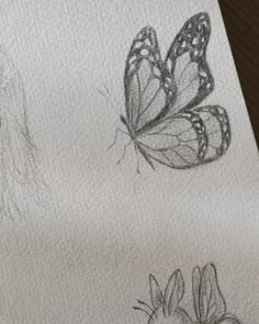 two drawings of butterflies on white paper