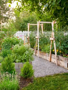 a garden filled with lots of different types of plants