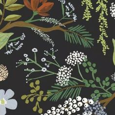 a black background with white and green flowers on the left side of the image is an illustration of leaves, branches, and berries