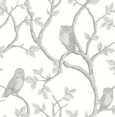 two owls are sitting on the branches of a tree, with green leaves and white background