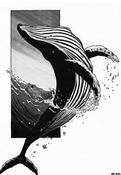 a drawing of a whale jumping out of the water