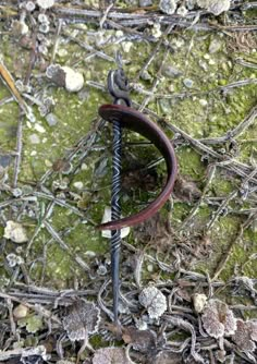 a metal object sitting on top of moss covered ground