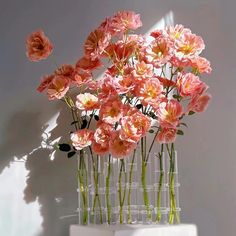 pink flowers are in clear vases on a white shelf against a gray wall with sunlight coming through the window