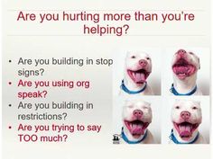 four pictures of a dog's face with the words are you hurtting more than you're helping?