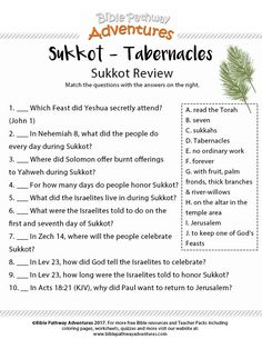 an activity sheet for the adventures of shk - ott talemales, which includes