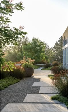 an outdoor walkway surrounded by plants and trees