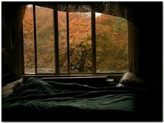 a bed sitting in front of a window next to a forest filled with trees covered in fall leaves