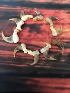 several pieces of animal bone arranged in the shape of a circle on a wooden surface