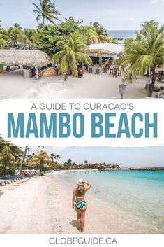 a guide to curacao's mambo beach in the gala region of mexico