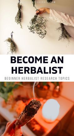 someone is holding some herbs in their hand and the words become an herbist above them