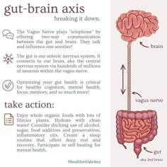 Vagus Nerve And Gut Health, Vagus Nerve Exercise, Stimulate Vagus Nerve, Vagus Nerve Healing, Holistic Counseling, Vagus Nerve Damage, Gut Brain Connection, Vagus Nerve Stimulator, Polyvagal Theory