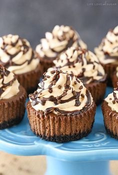 chocolate cupcakes with white frosting on a blue cake plate