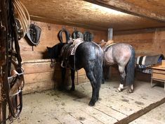 two horses standing next to each other in a barn with wooden walls and flooring