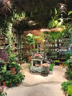 a room filled with lots of potted plants next to shelves full of greenery