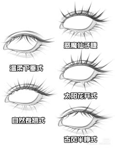 the different types of eyelashes in chinese